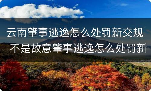 云南肇事逃逸怎么处罚新交规 不是故意肇事逃逸怎么处罚新交规