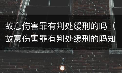 故意伤害罪有判处缓刑的吗（故意伤害罪有判处缓刑的吗知乎）