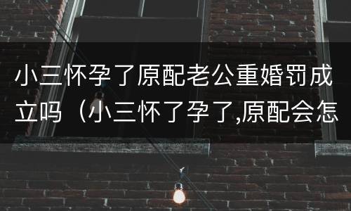 小三怀孕了原配老公重婚罚成立吗（小三怀了孕了,原配会怎么处理）