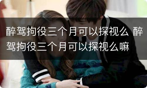 醉驾拘役三个月可以探视么 醉驾拘役三个月可以探视么嘛