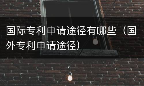 国际专利申请途径有哪些（国外专利申请途径）