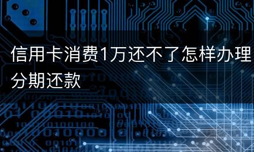 信用卡消费1万还不了怎样办理分期还款