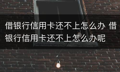 借银行信用卡还不上怎么办 借银行信用卡还不上怎么办呢