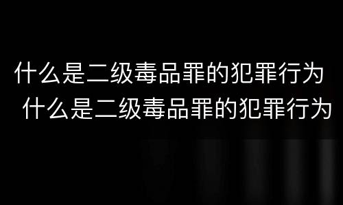 什么是二级毒品罪的犯罪行为 什么是二级毒品罪的犯罪行为类型