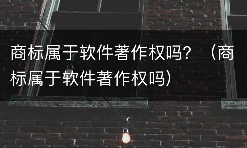 商标属于软件著作权吗？（商标属于软件著作权吗）