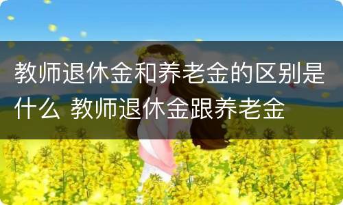 教师退休金和养老金的区别是什么 教师退休金跟养老金