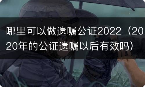 哪里可以做遗嘱公证2022（2020年的公证遗嘱以后有效吗）