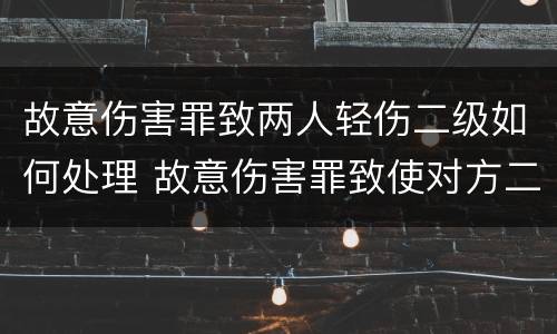 故意伤害罪致两人轻伤二级如何处理 故意伤害罪致使对方二级轻伤怎么判