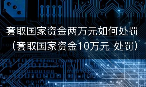 套取国家资金两万元如何处罚（套取国家资金10万元 处罚）