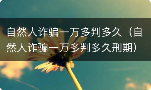 自然人诈骗一万多判多久（自然人诈骗一万多判多久刑期）