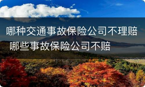 哪种交通事故保险公司不理赔 哪些事故保险公司不赔
