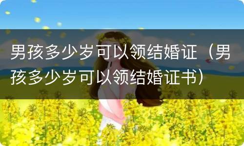 男孩多少岁可以领结婚证（男孩多少岁可以领结婚证书）