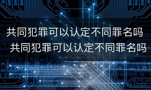 共同犯罪可以认定不同罪名吗 共同犯罪可以认定不同罪名吗判几年