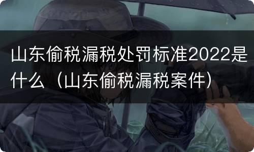 山东偷税漏税处罚标准2022是什么（山东偷税漏税案件）