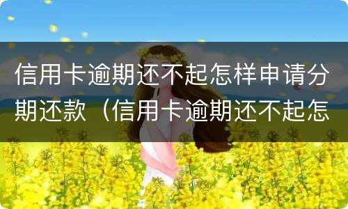 信用卡逾期还不起怎样申请分期还款（信用卡逾期还不起怎样申请分期还款呢）