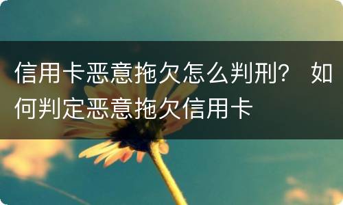 信用卡恶意拖欠怎么判刑？ 如何判定恶意拖欠信用卡