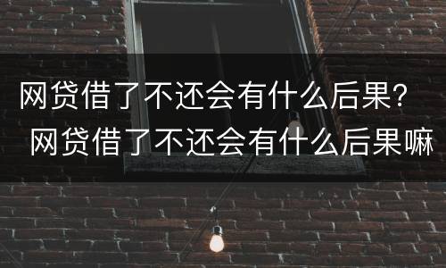 网贷借了不还会有什么后果？ 网贷借了不还会有什么后果嘛