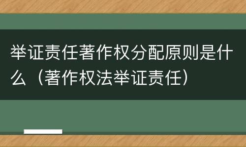 举证责任著作权分配原则是什么（著作权法举证责任）