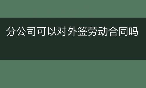 分公司可以对外签劳动合同吗