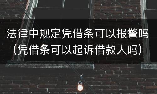 法律中规定凭借条可以报警吗（凭借条可以起诉借款人吗）