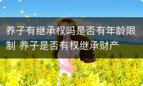 养子有继承权吗是否有年龄限制 养子是否有权继承财产