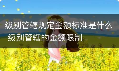 级别管辖规定金额标准是什么 级别管辖的金额限制