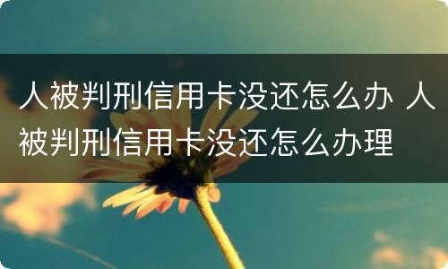人被判刑信用卡没还怎么办 人被判刑信用卡没还怎么办理