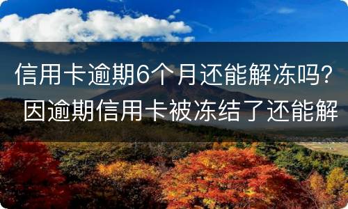 信用卡逾期6个月还能解冻吗？ 因逾期信用卡被冻结了还能解冻吗