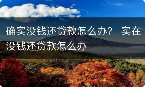确实没钱还贷款怎么办？ 实在没钱还贷款怎么办