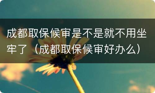 成都取保候审是不是就不用坐牢了（成都取保候审好办么）