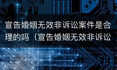 宣告婚姻无效非诉讼案件是合理的吗（宣告婚姻无效非诉讼案件是合理的吗）