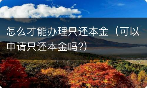 怎么才能办理只还本金（可以申请只还本金吗?）