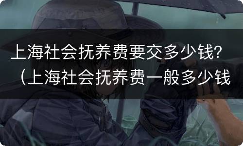 上海社会抚养费要交多少钱？（上海社会抚养费一般多少钱）