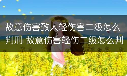 故意伤害致人轻伤害二级怎么判刑 故意伤害轻伤二级怎么判刑和赔偿