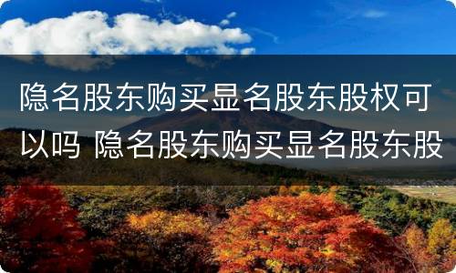 隐名股东购买显名股东股权可以吗 隐名股东购买显名股东股权可以吗知乎