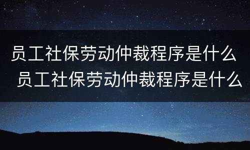 员工社保劳动仲裁程序是什么 员工社保劳动仲裁程序是什么样的