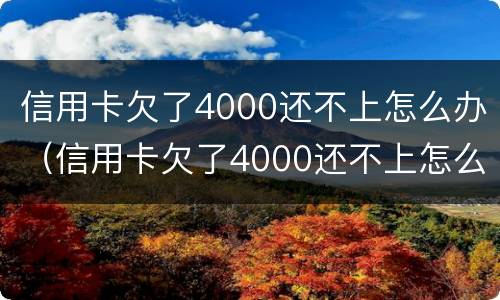 信用卡欠了4000还不上怎么办（信用卡欠了4000还不上怎么办呢）