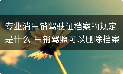 专业消吊销驾驶证档案的规定是什么 吊销驾照可以删除档案吗