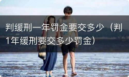 判缓刑一年罚金要交多少（判1年缓刑要交多少罚金）