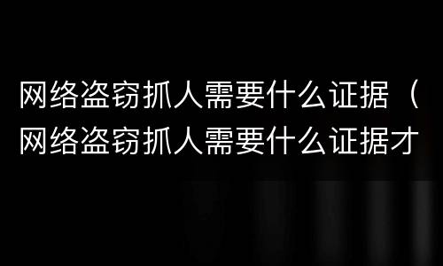 网络盗窃抓人需要什么证据（网络盗窃抓人需要什么证据才能立案）