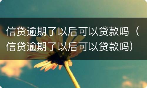 信贷逾期了以后可以贷款吗（信贷逾期了以后可以贷款吗）