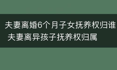 夫妻离婚6个月子女抚养权归谁 夫妻离异孩子抚养权归属