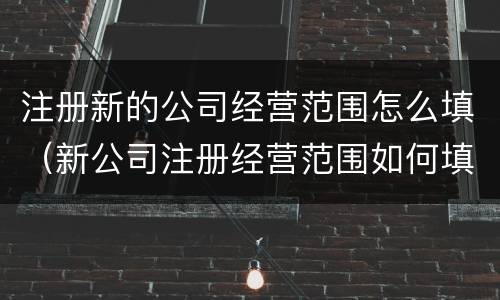 注册新的公司经营范围怎么填（新公司注册经营范围如何填写）