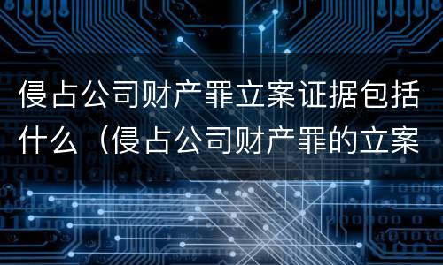 侵占公司财产罪立案证据包括什么（侵占公司财产罪的立案标准）