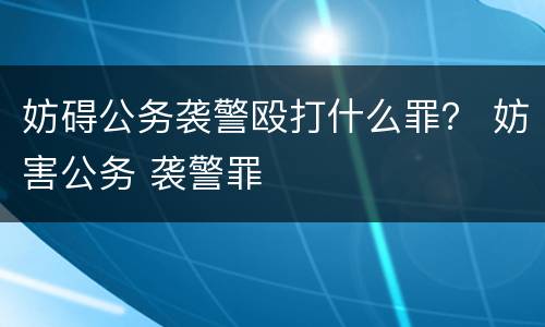 妨碍公务袭警殴打什么罪？ 妨害公务 袭警罪