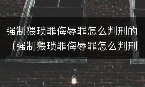 强制猥琐罪侮辱罪怎么判刑的（强制猥琐罪侮辱罪怎么判刑的案例）