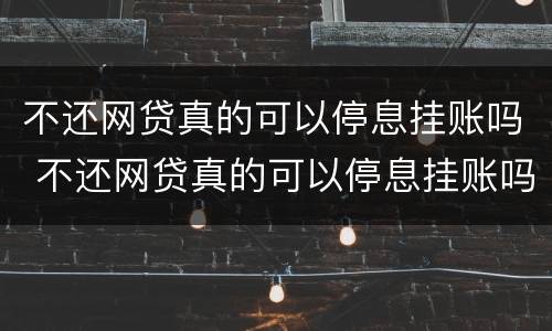 不还网贷真的可以停息挂账吗 不还网贷真的可以停息挂账吗知乎