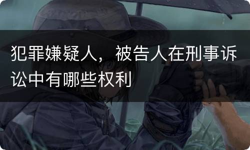 犯罪嫌疑人，被告人在刑事诉讼中有哪些权利