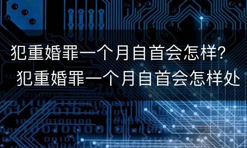 犯重婚罪一个月自首会怎样？ 犯重婚罪一个月自首会怎样处罚
