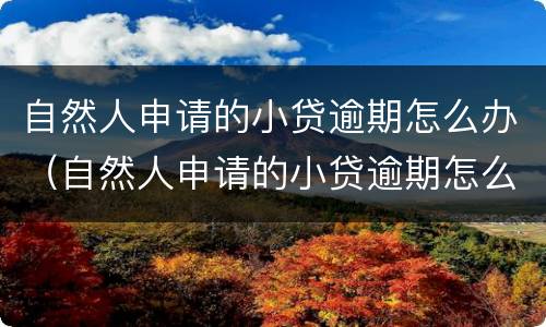 自然人申请的小贷逾期怎么办（自然人申请的小贷逾期怎么办理）